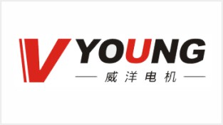 湖州威洋電機有限公司